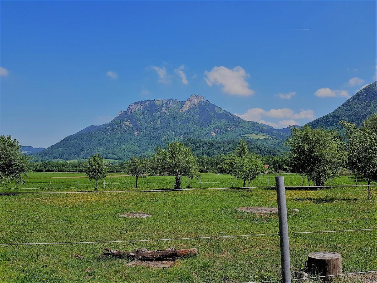 Riederhof Апартаменты *