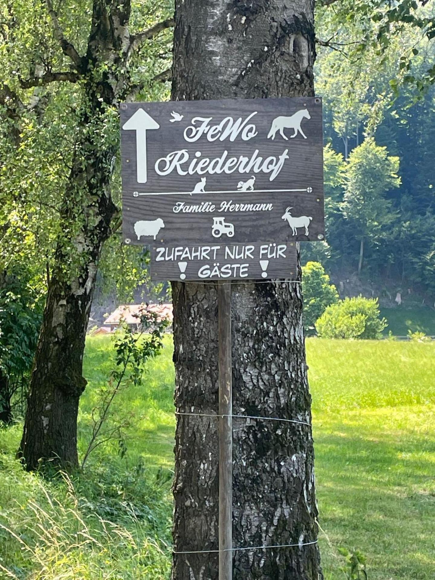 Riederhof Флинтсбах
